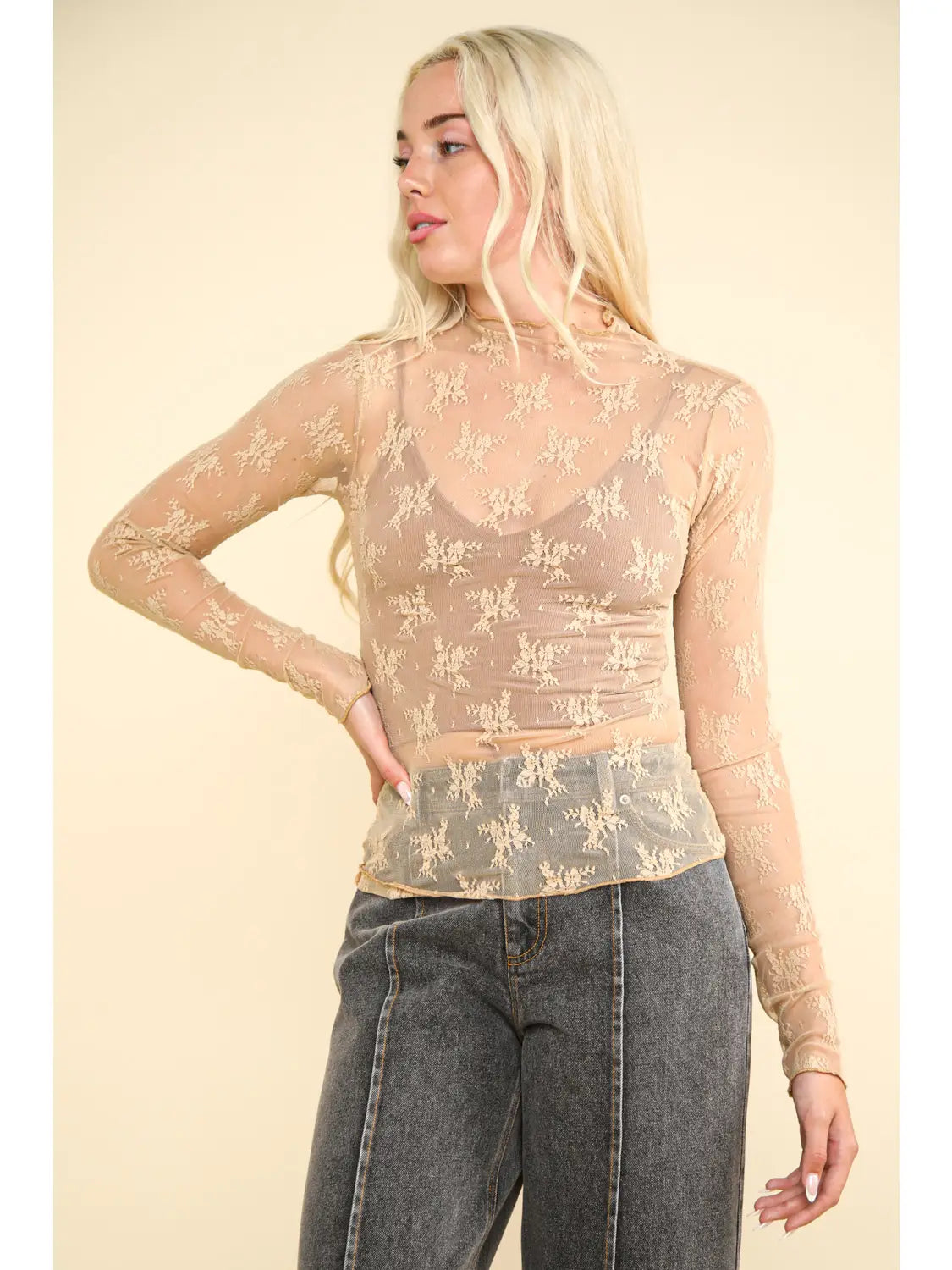 High Neck Fitted Sheer Mesh Lace Knit Top