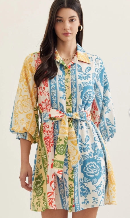 Botanical Stripe Print Dress