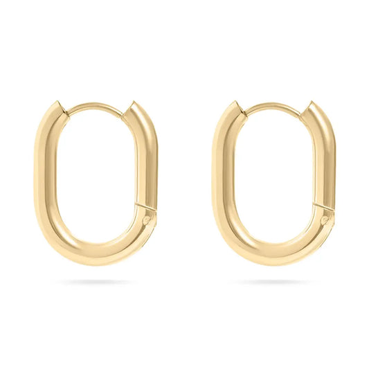 18K Gold Pvd Stainless Steel Oval Huggie Earrings