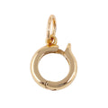 Charm Multiplier Link Shiny Gold